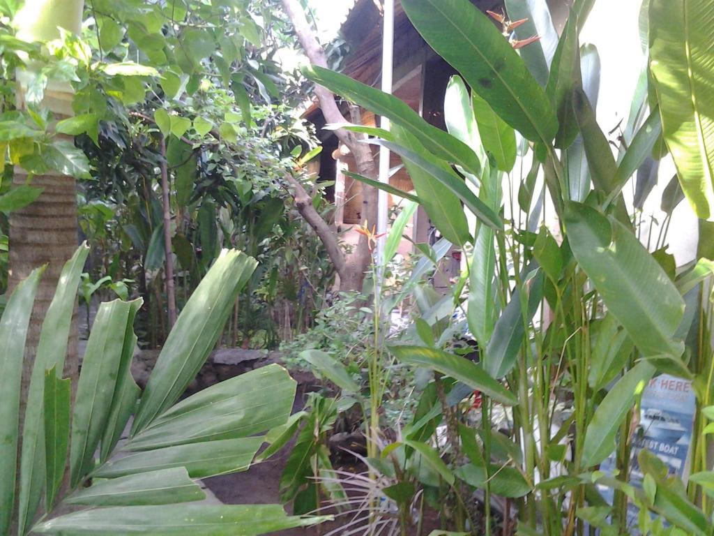 Solaluna Beach Homestay Amed Exterior foto